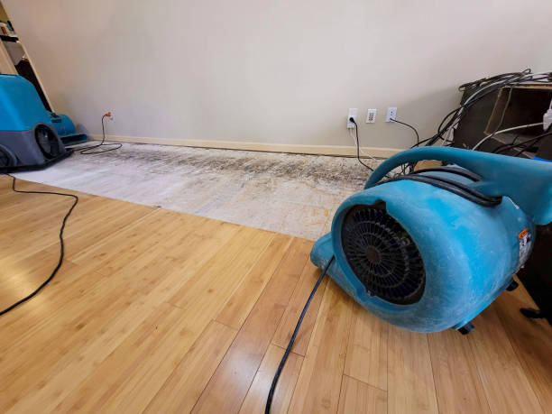 Professional Sewage Cleanup technician working in Wood River, IL